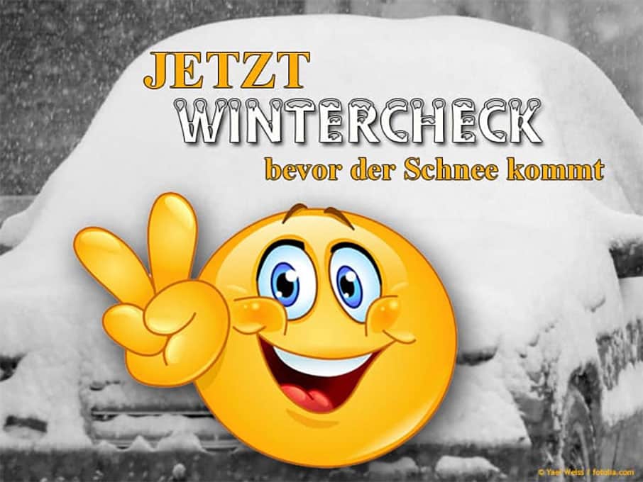 Auto Wintercheck günstig in Dresden